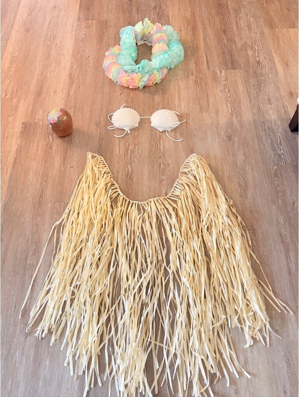 Deluxe Teal Costume: Grass Skirt Shell Bra Luxury Leis x2